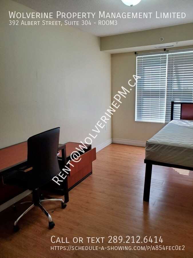 392 Albert St #3
