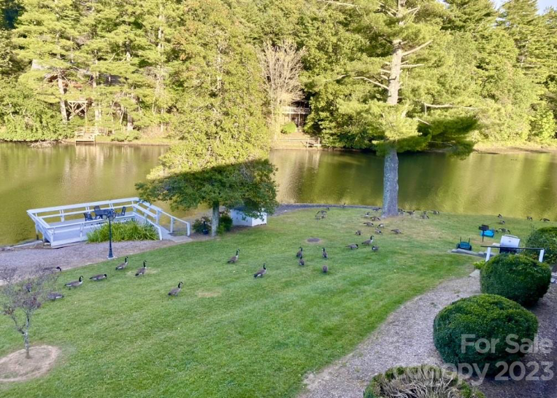 1150 W Blue Ridge Rd #203 - Photo 2 of 26