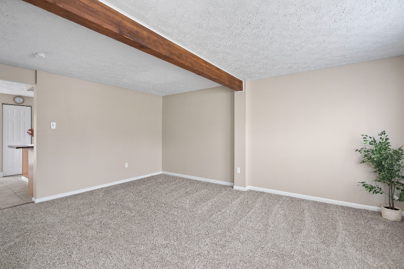 131 Spruce Woods Ct - Photo 3 of 39