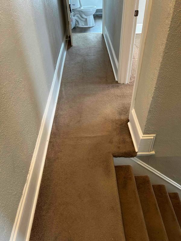 312 Harding Ave - Photo 2 of 25