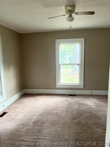 404 Mcgwigan St - Photo 5 of 18