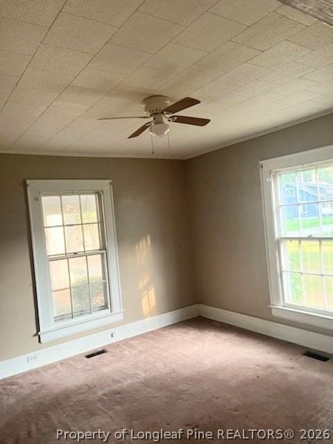 404 Mcgwigan St - Photo 6 of 18