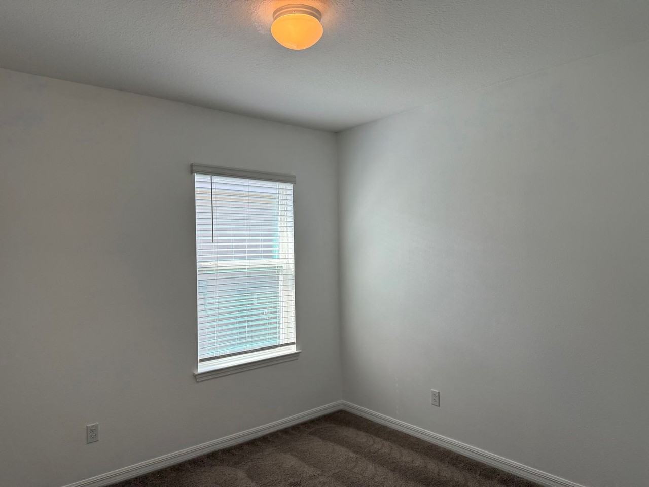 5203 Northern Flicker Dr - Photo 6 of 26