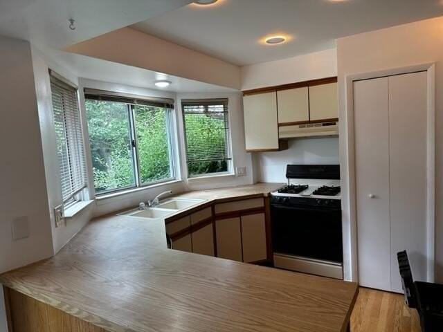 7356 Hedgerow Ct - Photo 4 of 17