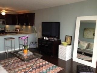 1540 N La Salle Dr #1106 - Photo 5 of 15