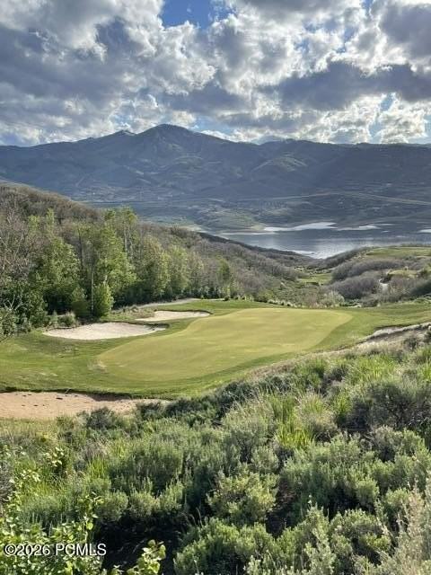 1135 Lasso Trl - Photo 3 of 34