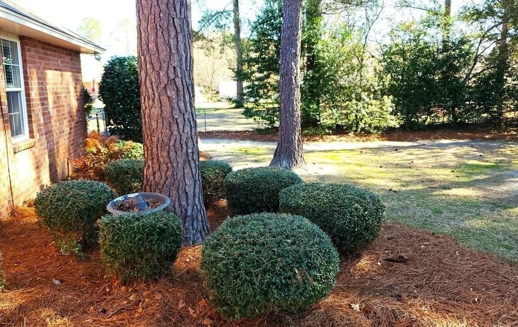 1450 Morris Way Dr - Photo 2 of 25