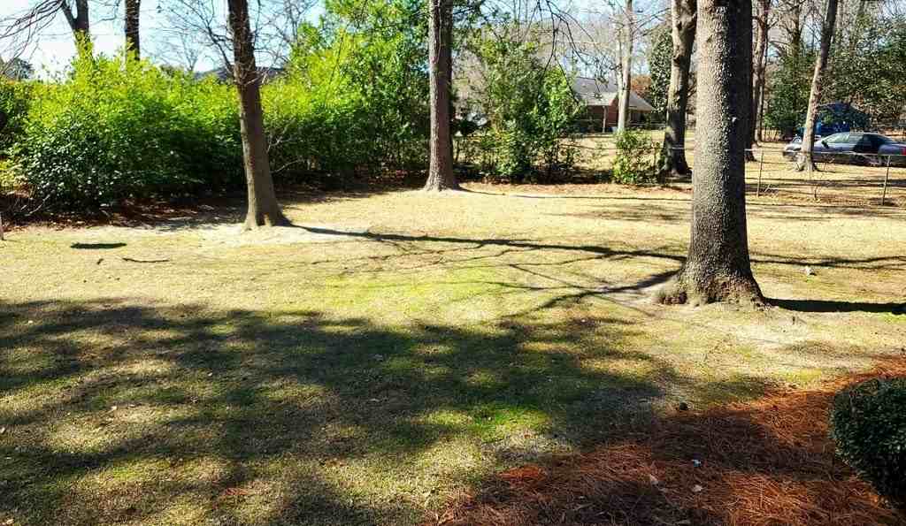 1450 Morris Way Dr - Photo 4 of 50