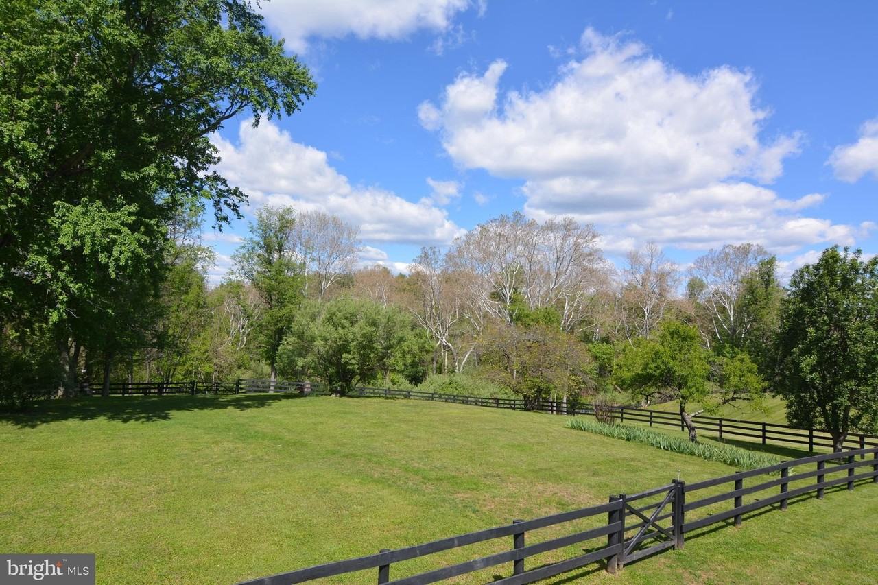 6540 Crummeys Run Ln - Photo 2 of 26
