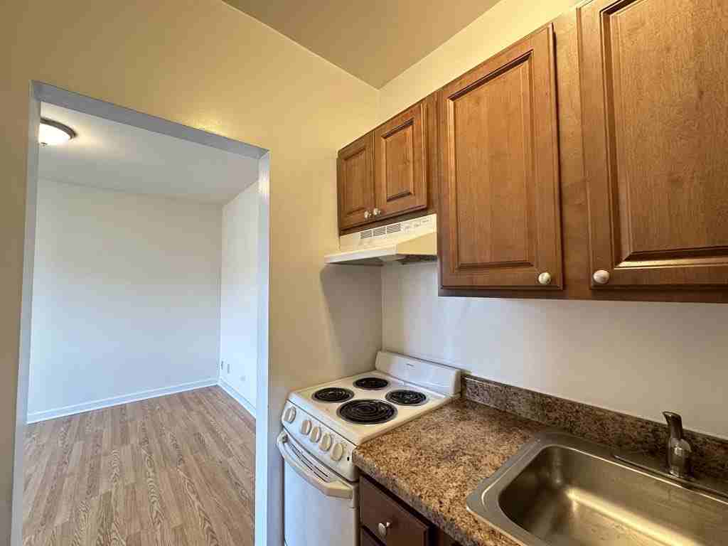 1850 N Humboldt Blvd #411 - Photo 4 of 21