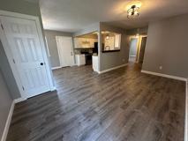 Large 2 Bedroom Apartments - Photo 1 of 1