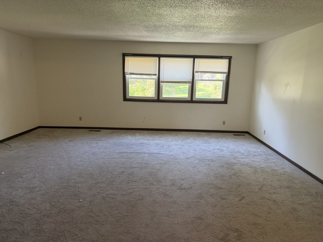 524 Breezy Point Drive - Photo 3 of 30