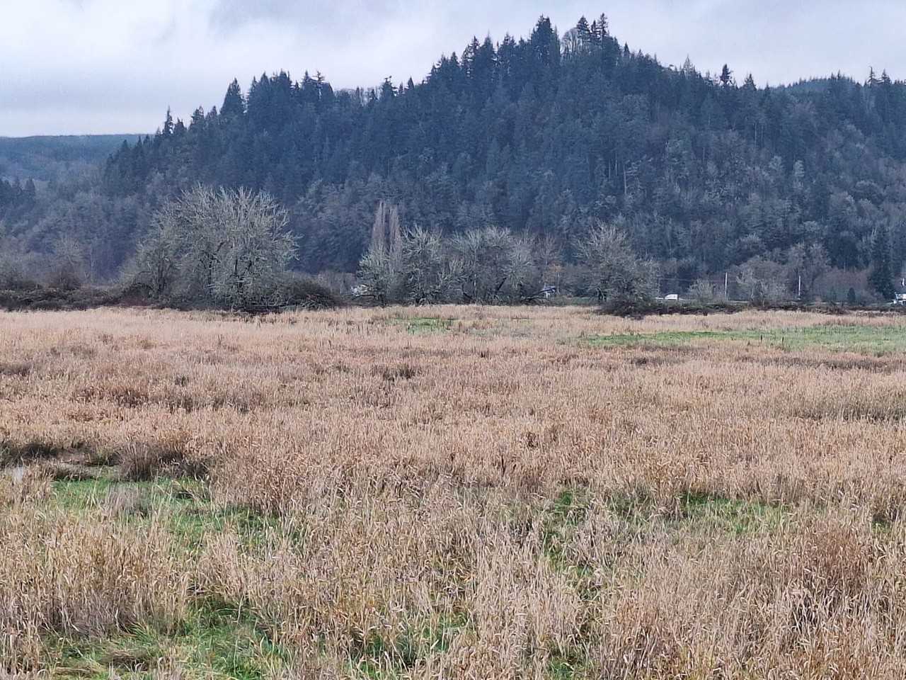 11393 Carver Rd - Photo 4 of 16
