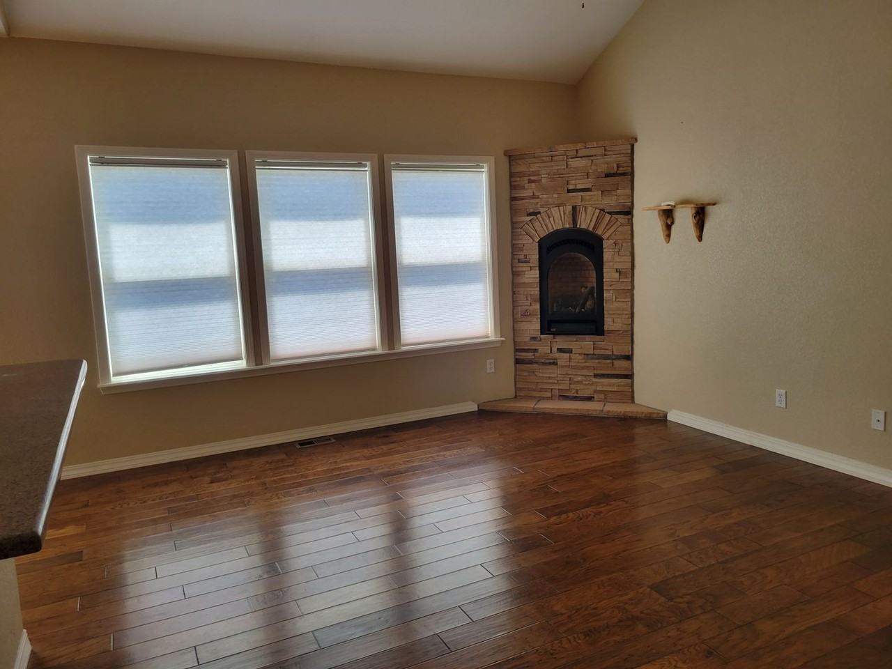 865 Diamond Rim Dr - Photo 4 of 22
