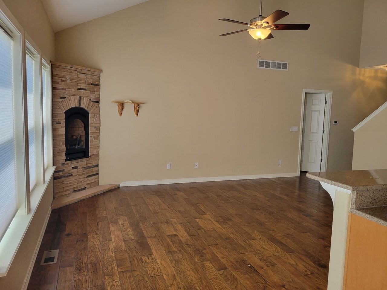 865 Diamond Rim Dr - Photo 5 of 22