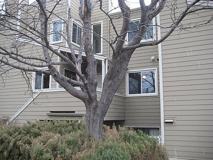 3725 Birchwood Dr #23 - Photo 1 of 1