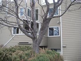 3725 Birchwood Dr #23 - Photo 1 of 1