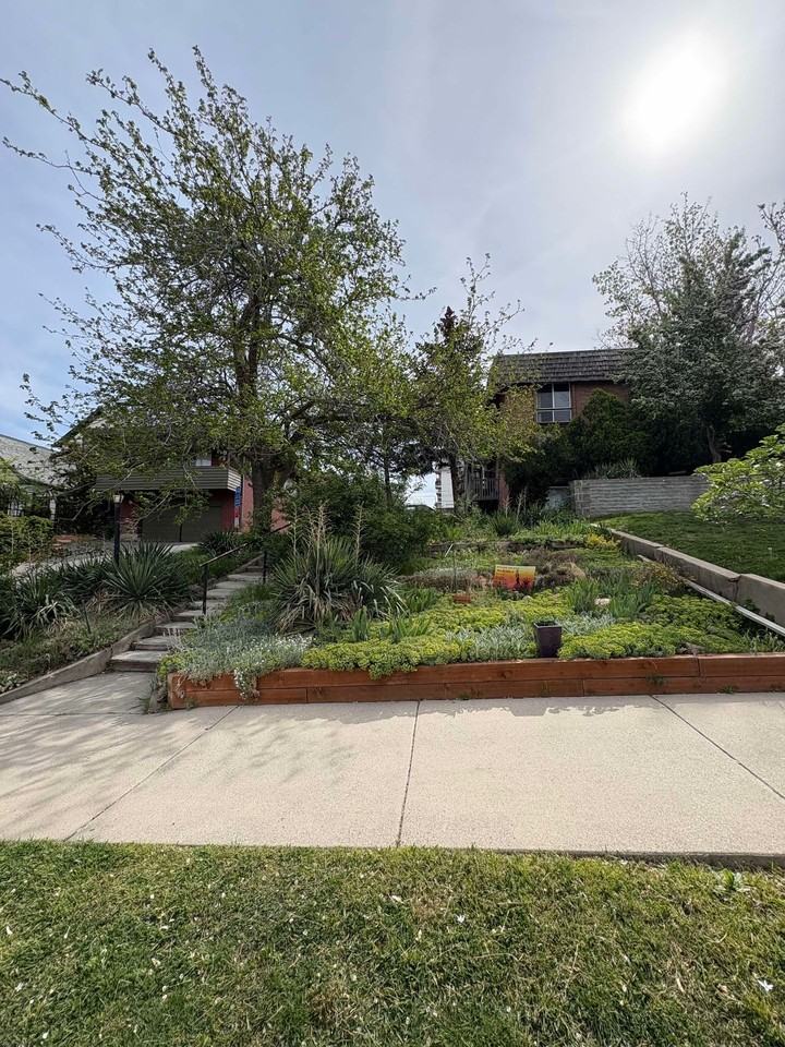 Sunset View Apartments - Photo 4 of 14