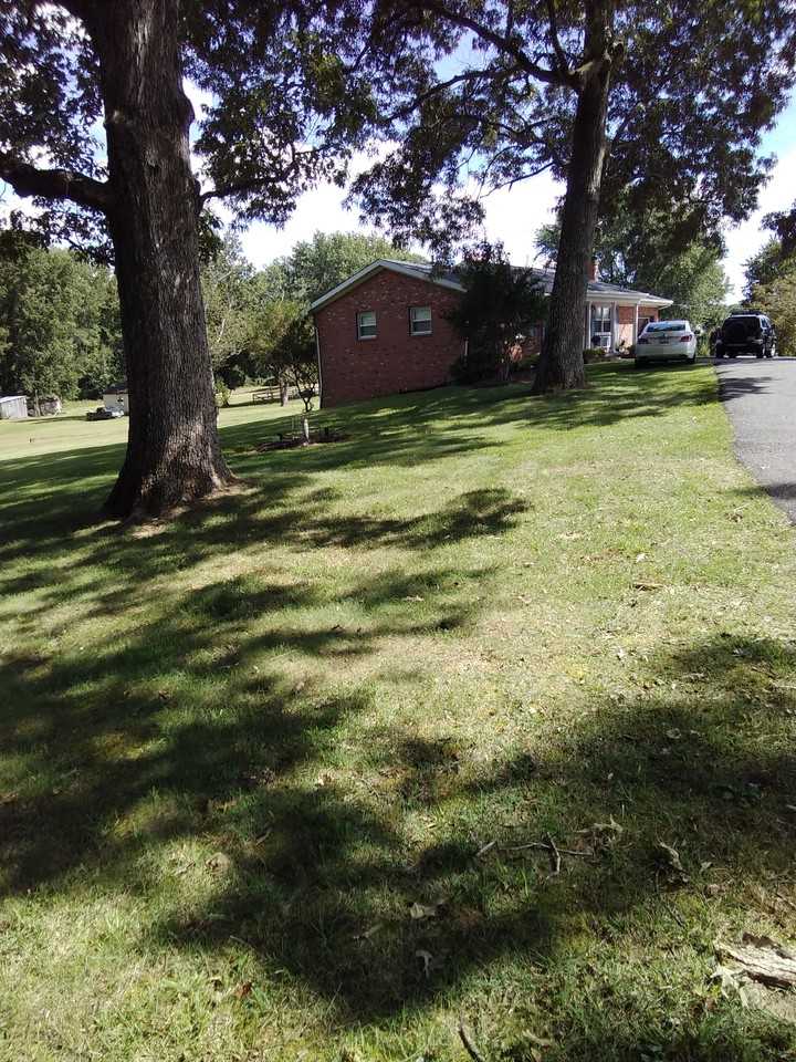 27136 Baptist Church Rd - Photo 7 of 12