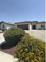 3915 Costa Del Sol Ln #1 - Photo 1 of 1