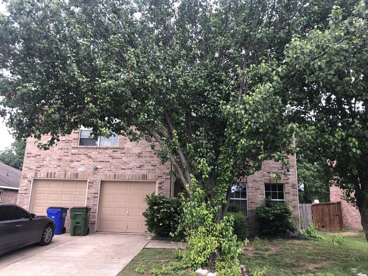 4625 Bridlewood Ln #1 - Photo 2 of 3