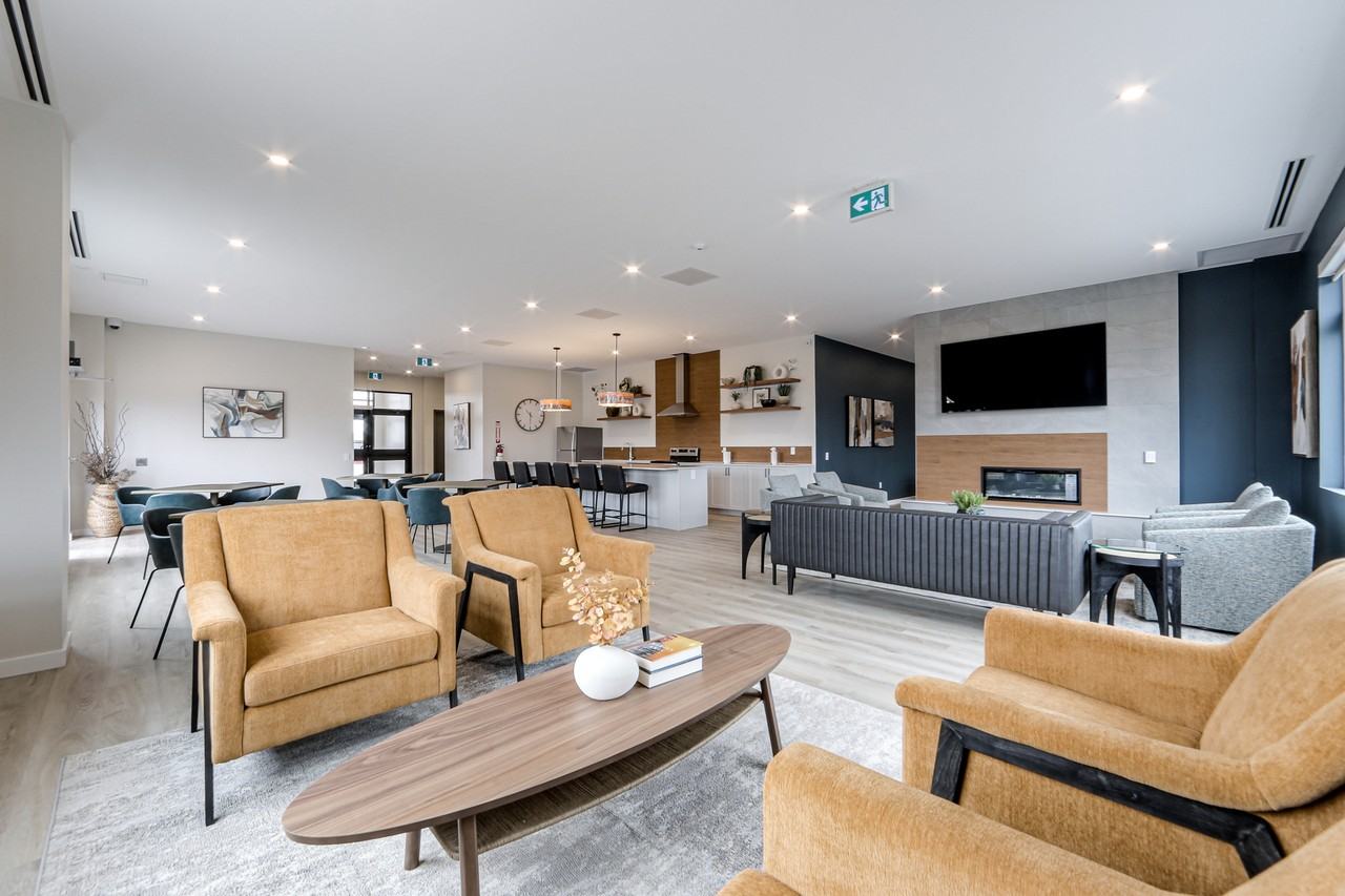 Terra Apartments - Photo 7 of 32