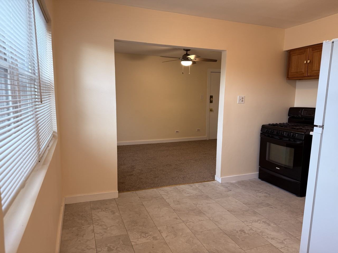 8909 S Cottage Grove Ave Apt 3r #8909-3R - Photo 2 of 6