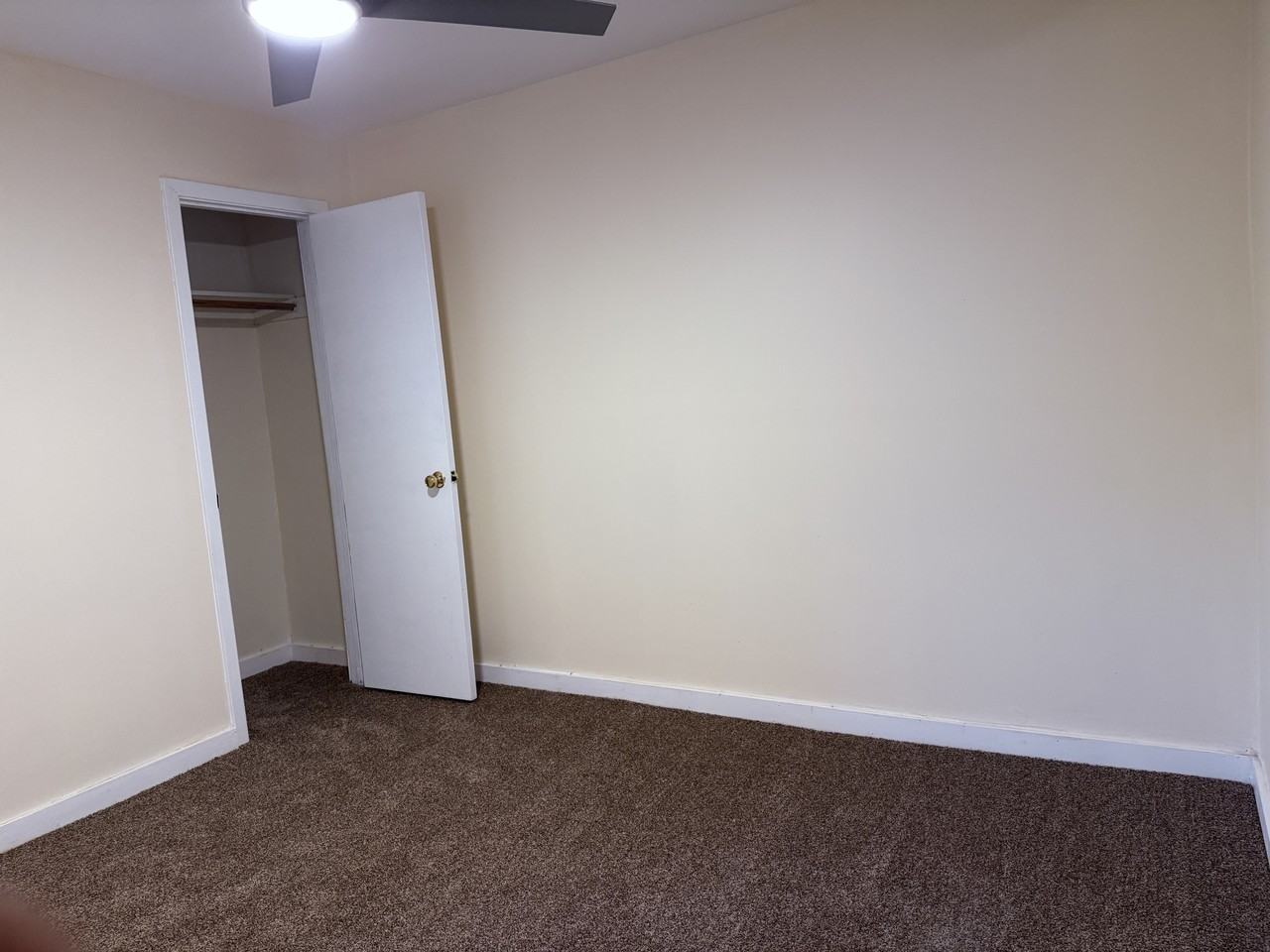 8909 S Cottage Grove Ave Apt 3r #8909-3R - Photo 5 of 6
