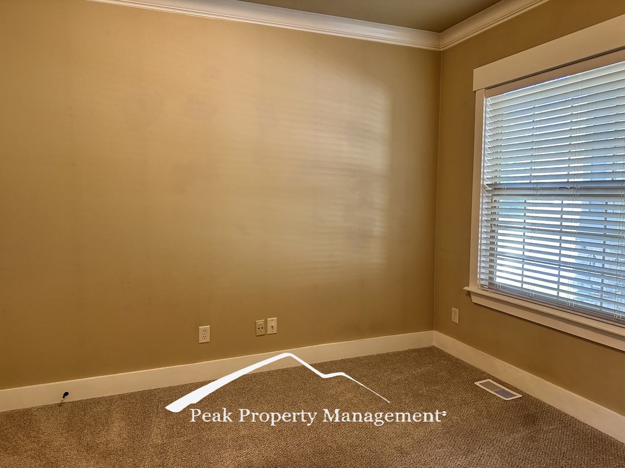 2869 E Shadowband St #1 - Photo 2 of 28