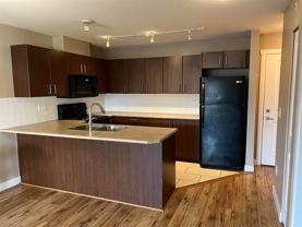 45559 Yale Rd #401 - Photo 1 of 1