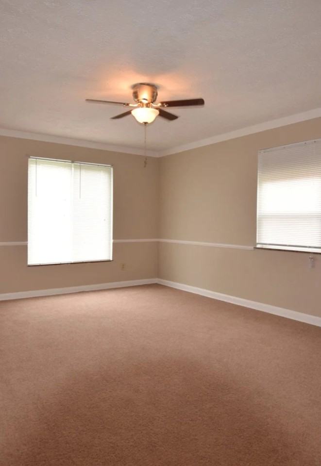 321 Union St #D - Photo 5 of 5