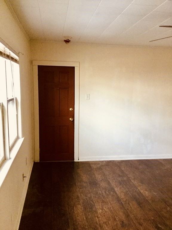 245 County St #245-8