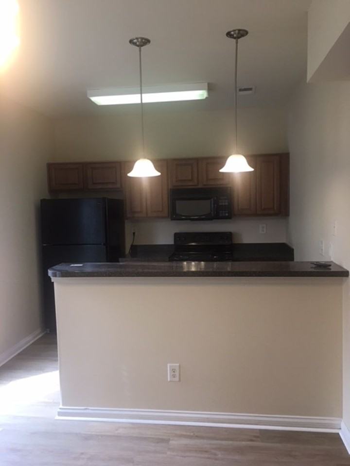 1145 Appian Crossing Way - Photo 6 of 21