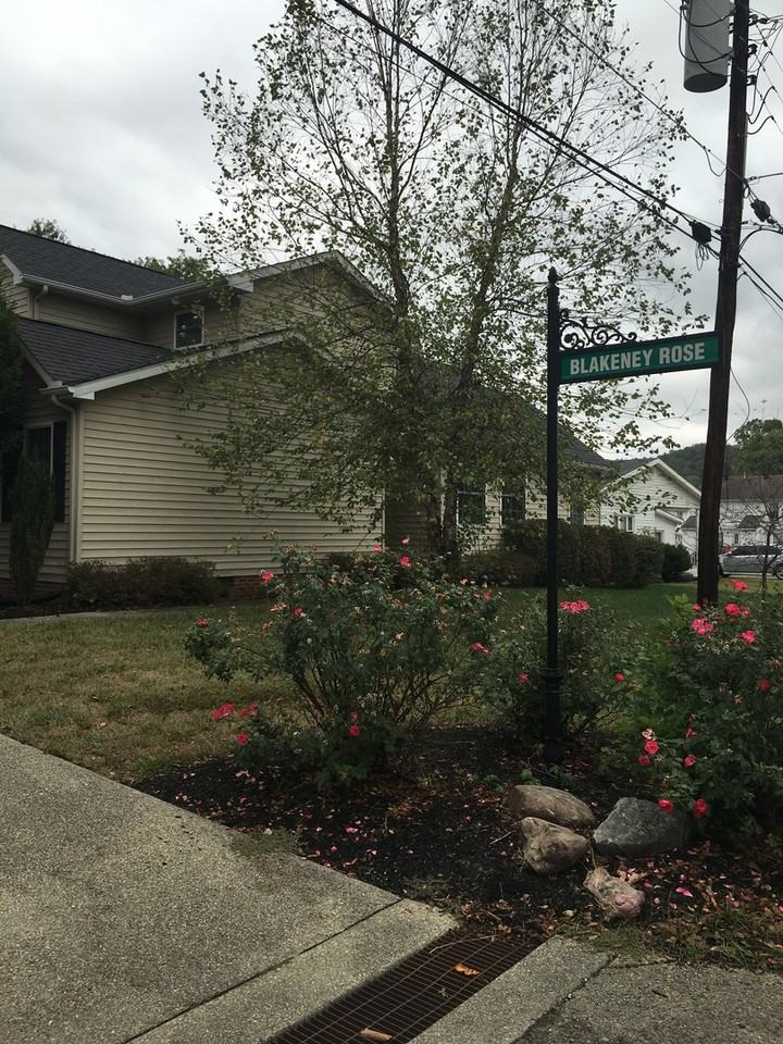 2 Blakeney Rose Ln - Photo 3 of 23