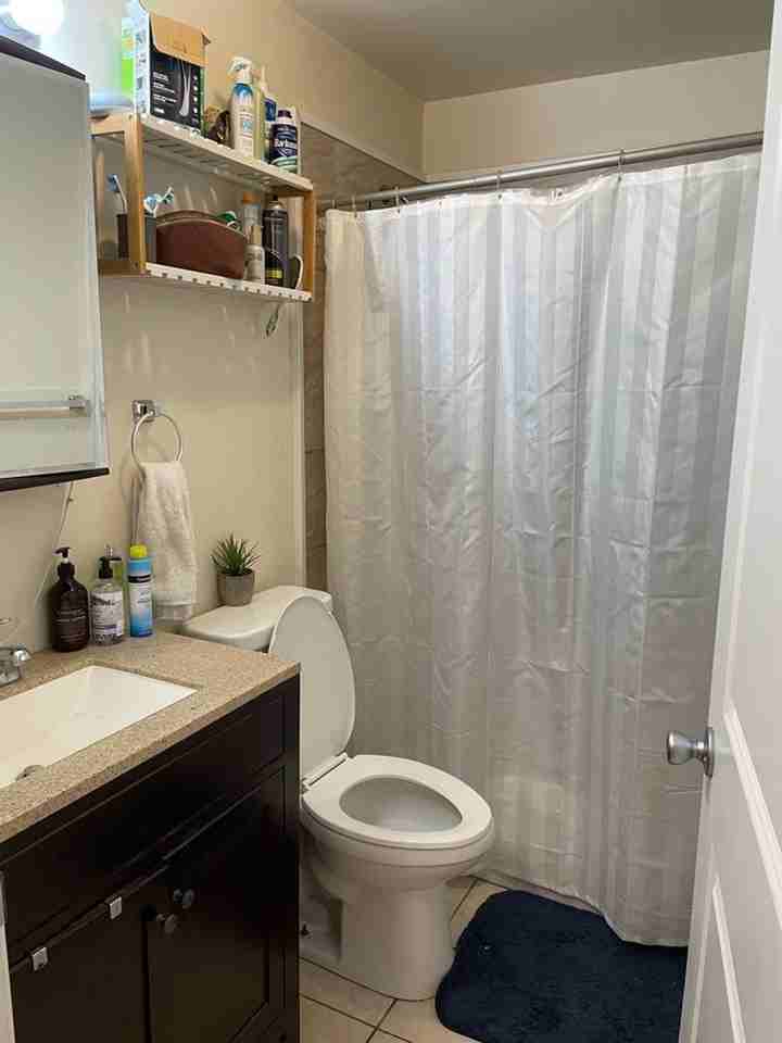 1708 S 4th St #3 - Photo 2 of 10