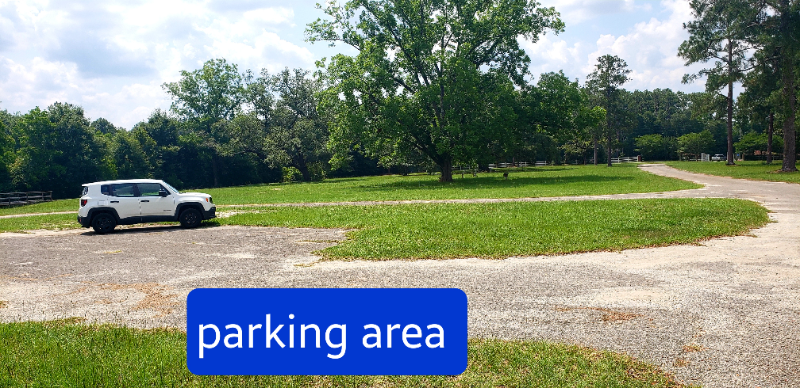 2301 W James Lee Blvd - Photo 3 of 25
