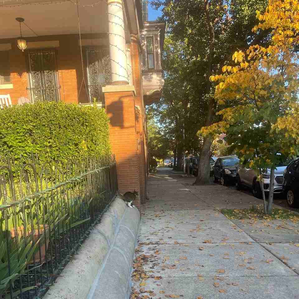 2701 N Calvert St #B - Photo 2 of 13
