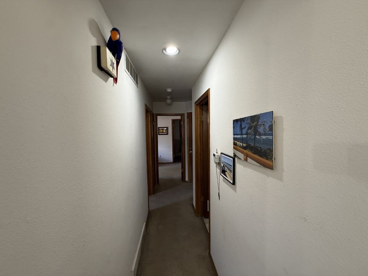 1063 Love Ct Apt A - Photo 6 of 16