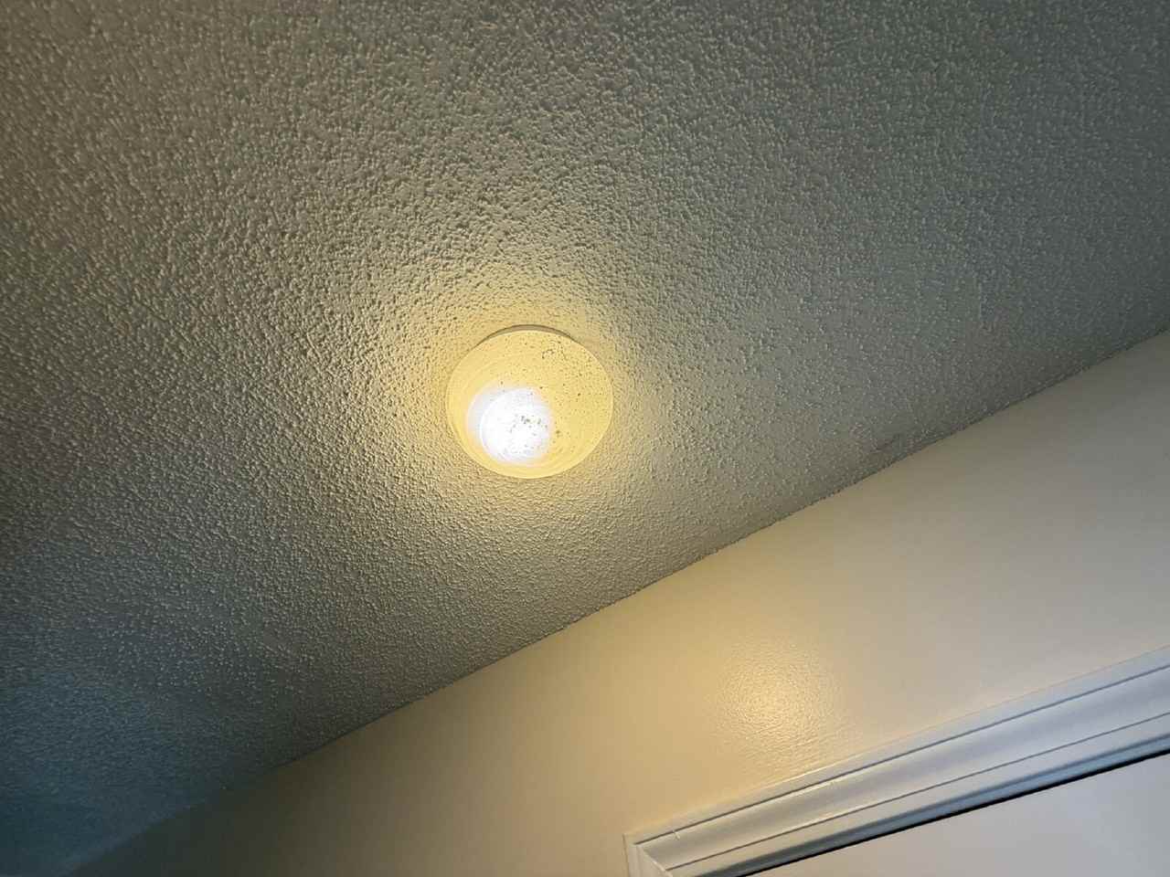 350 Beverly St - Photo 5 of 12