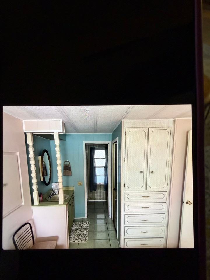 469 Needle Palm St - Photo 4 of 4