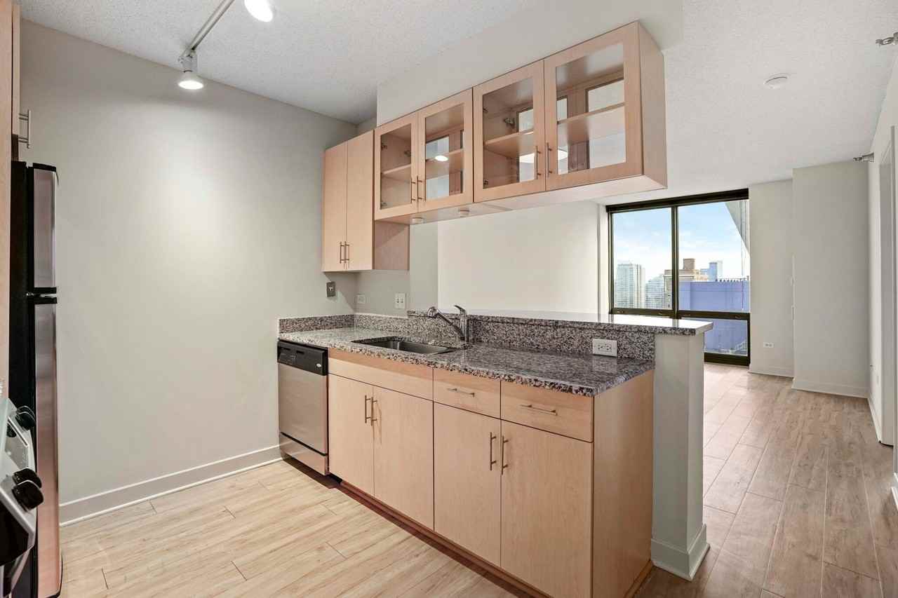 1265 S Michigan Ave - Photo 3 of 12