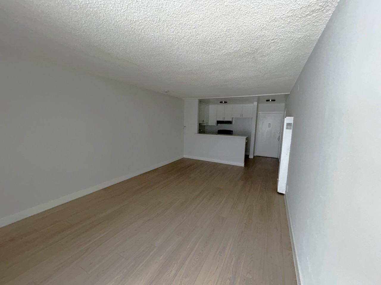 3093 - 327 S. Normandie Ave. - Photo 6 of 17