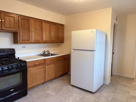 8907-09 South Cottage Grove Avenue - OWNER HANDLES ALL MAIN - Photo 1 of 1