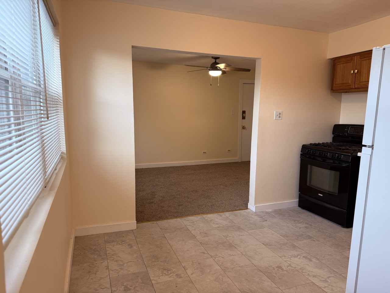 8907-09 South Cottage Grove Avenue - OWNER HANDLES ALL MAIN - Photo 2 of 6