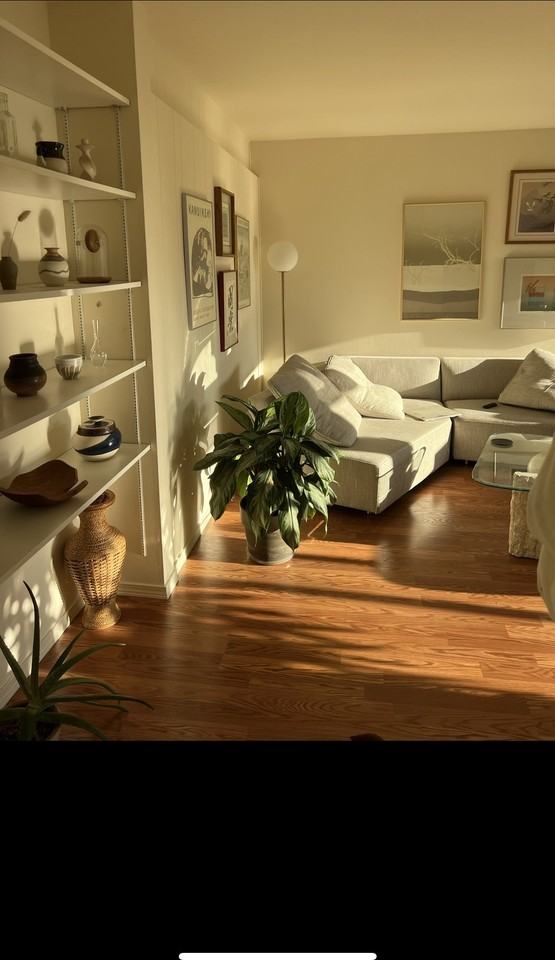 Madlyn Apartments LLC - Photo 7 of 16