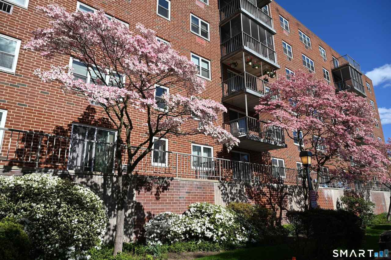 27 Northill St #6U - Photo 3 of 28
