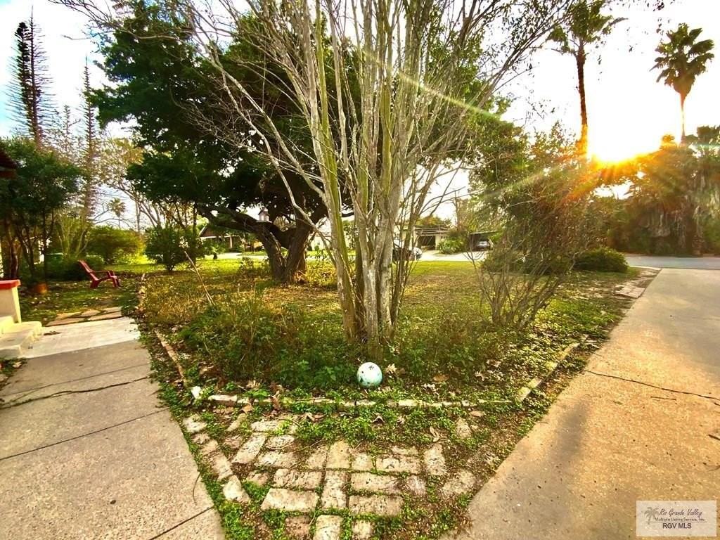 205 Ebony Ave - Photo 4 of 24