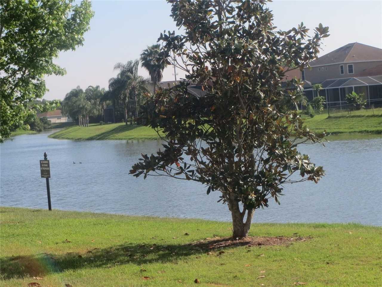 6925 Towering Spruce Dr - Photo 2 of 13