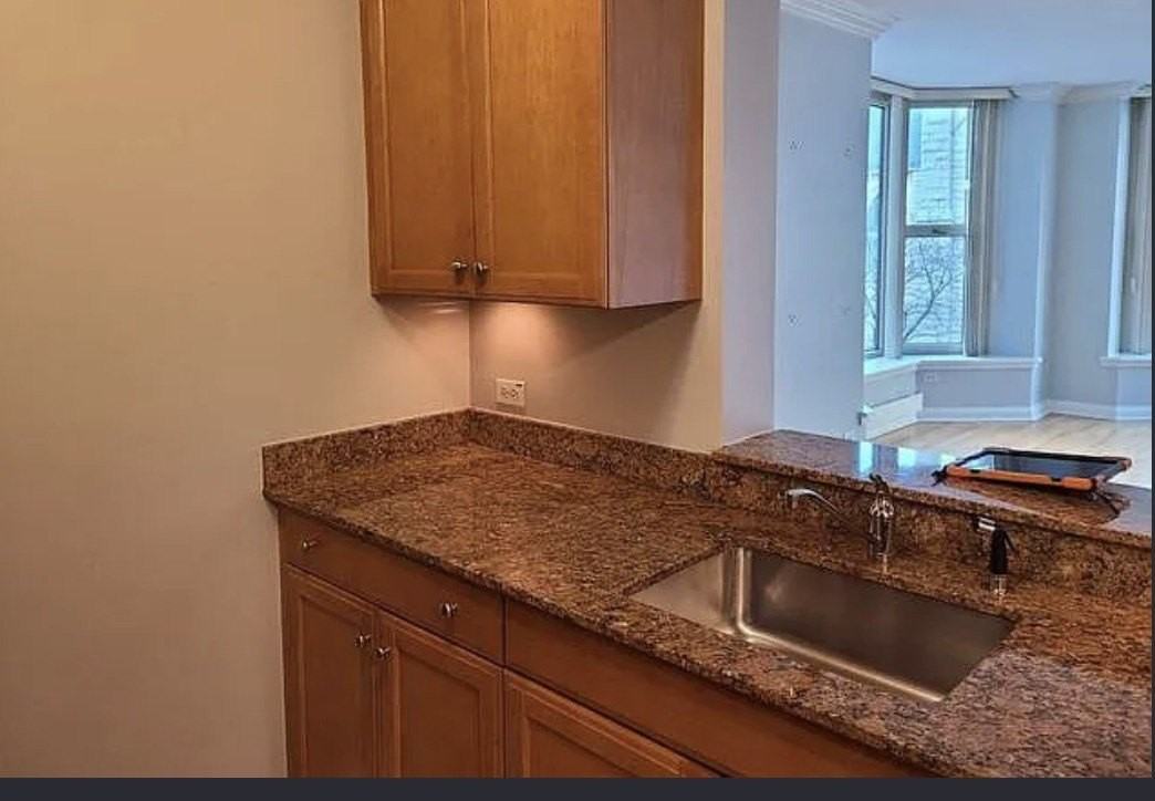 25 E Superior St #501 - Photo 4 of 9