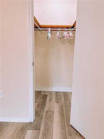 2704 Sieglinde Ct - Photo 7 of 19